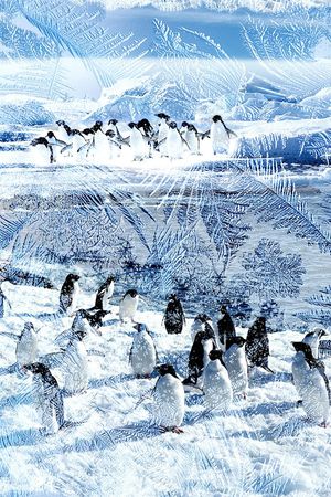 冰川印花华亿平台图片