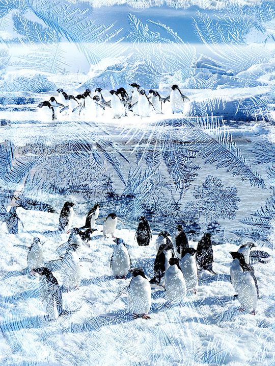 冰川印花华亿平台图片