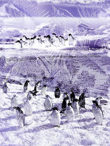 395601-冰天雪地极地企鹅冰川雪花冰叶冬装羽