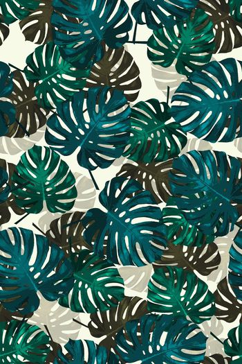 395612-热带枝叶植物树叶龟背叶龟背竹蓬莱蕉