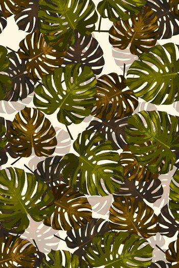 395613-热带枝叶植物树叶龟背叶龟背竹蓬莱蕉