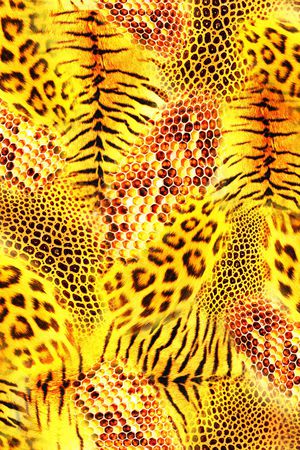 动物纹印花华亿平台图片