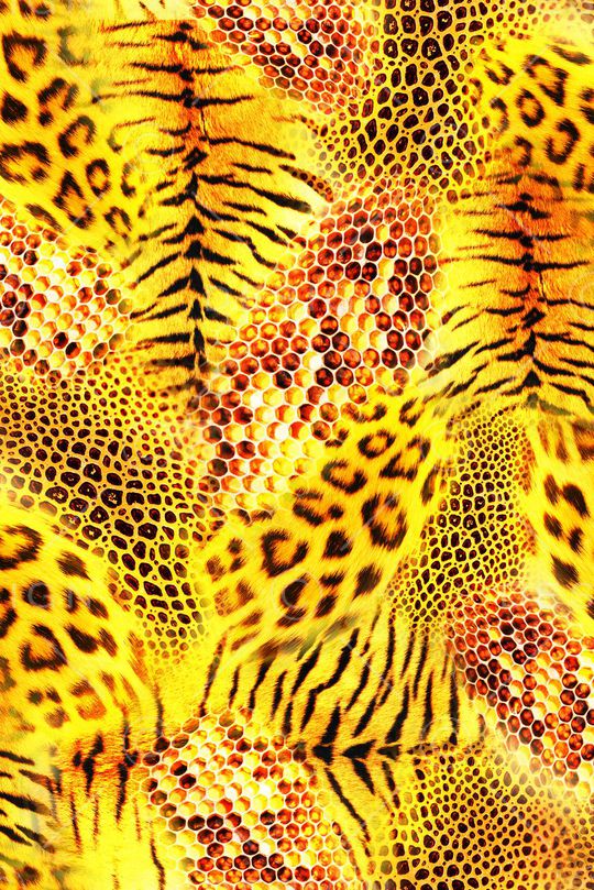 动物纹印花华亿平台图片