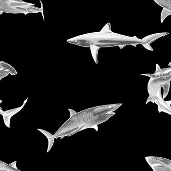 395728-鲨鱼