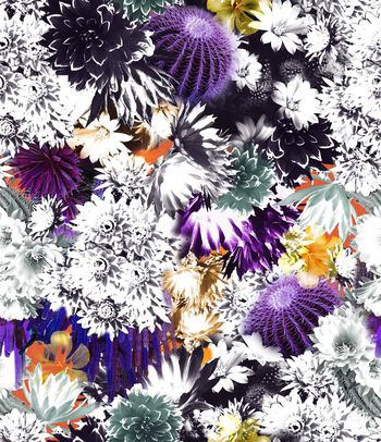 395793-仙人球和白花