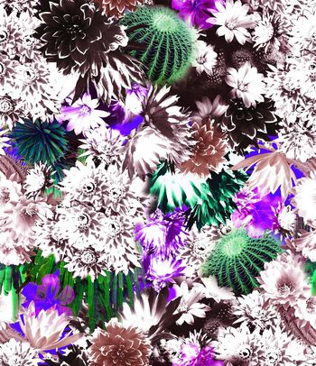 395794-仙人球和白花