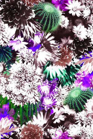 甜美 清新印花华亿平台图片