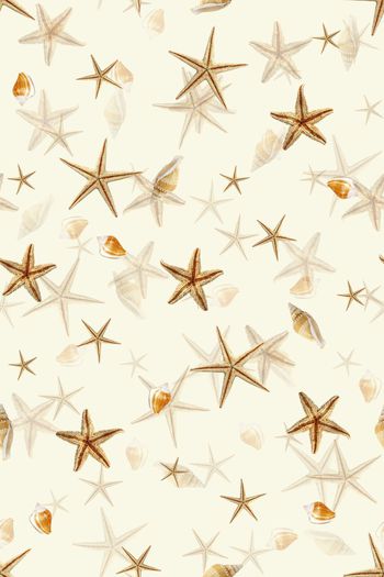 395817-WT457大牌风宫廷奢华欧美海星贝