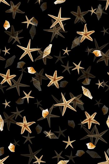 395818-WT457大牌风宫廷奢华欧美海星贝