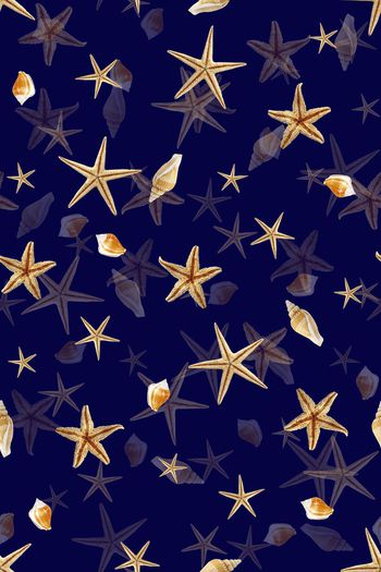 395819-WT457大牌风宫廷奢华欧美海星贝