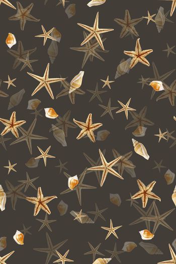 395820-WT457大牌风宫廷奢华欧美海星贝