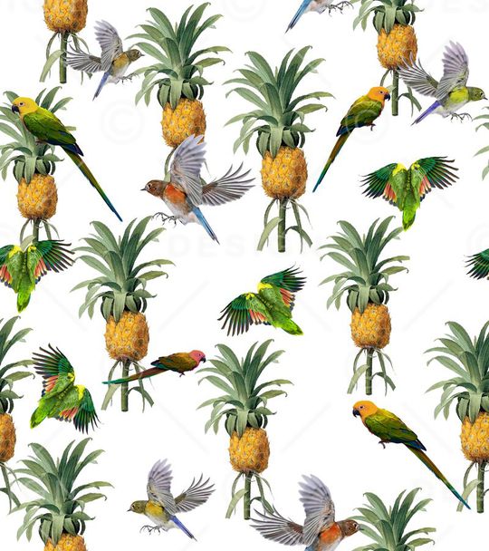 鸟印花华亿平台图片