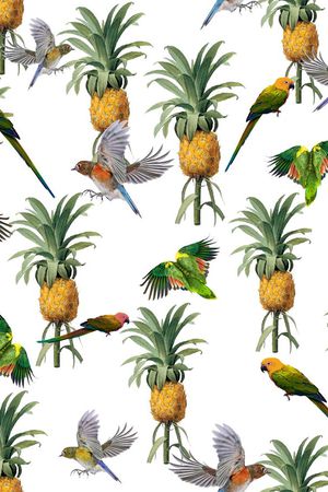 鸟印花华亿平台图片