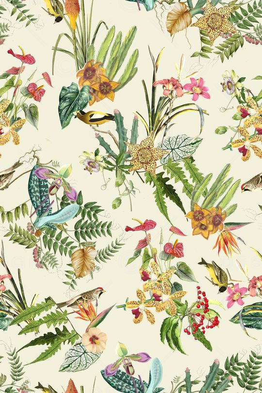 热带风印花华亿平台图片