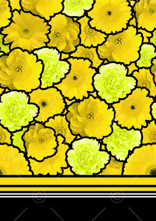 菊花印花华亿平台图片