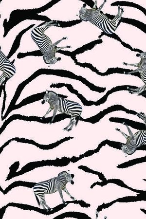 斑马印花华亿平台图片