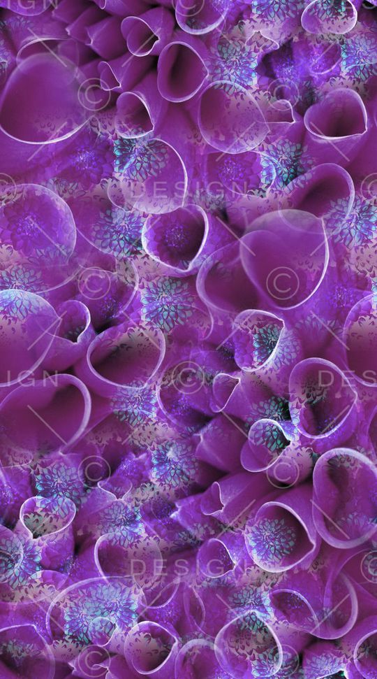 局部印花华亿平台图片