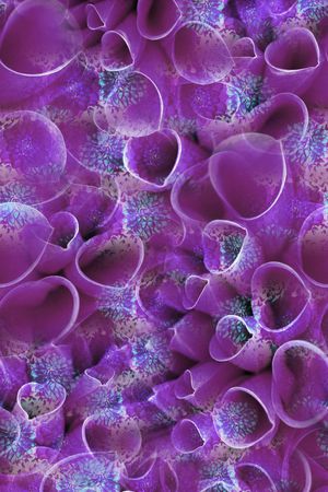 局部印花华亿平台图片