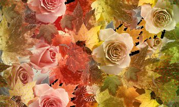 数码印花华亿平台图片