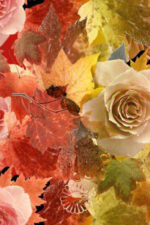 数码印花华亿平台图片