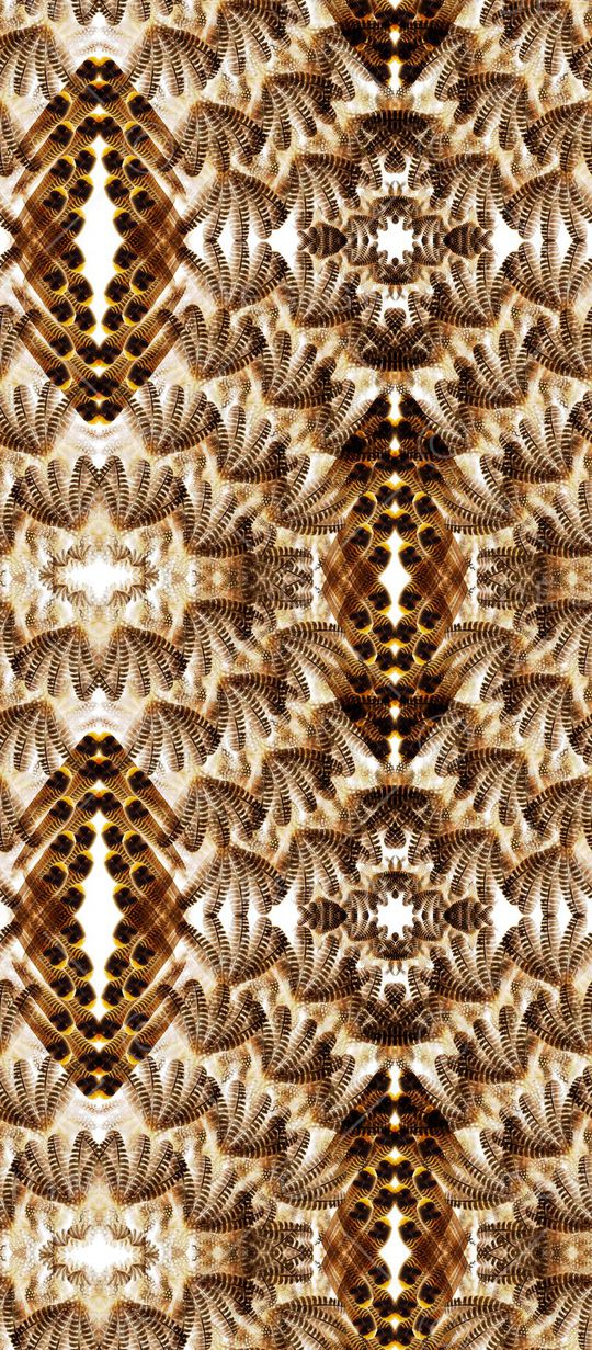 经典印花华亿平台图片