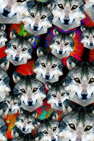 秋冬印花华亿平台图片