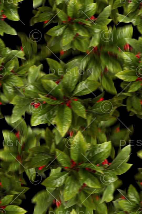 电子花卉印花华亿平台图片