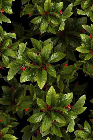 电子花卉印花华亿平台图片