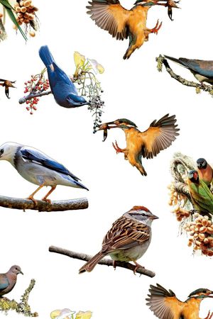 热带印花华亿平台图片