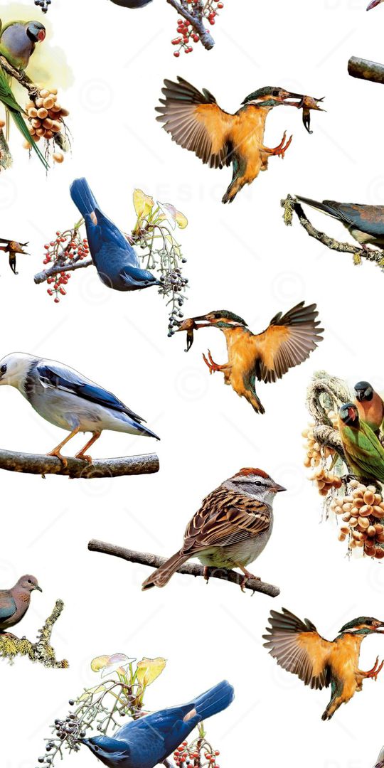 热带印花华亿平台图片