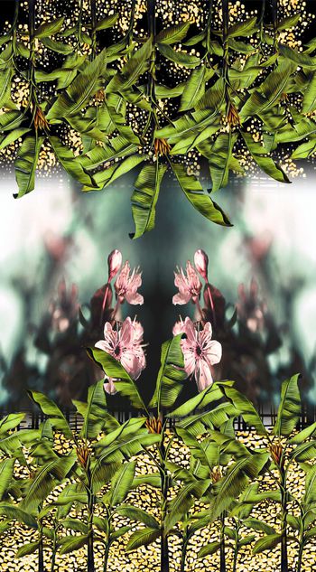 396339-清新流行定位花