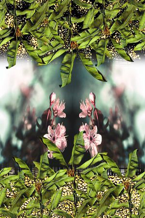 芭蕉树印花华亿平台图片