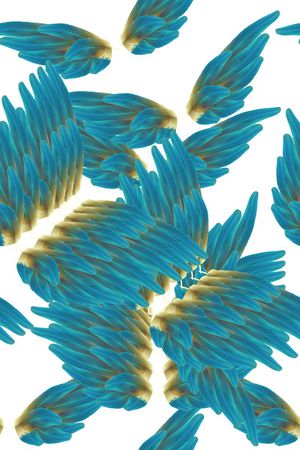 复古3D立体感空间感buautiful羽毛印花华亿平台图片