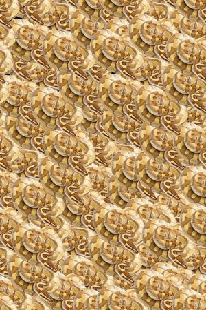 网状黄金蟒蛇印花华亿平台图片