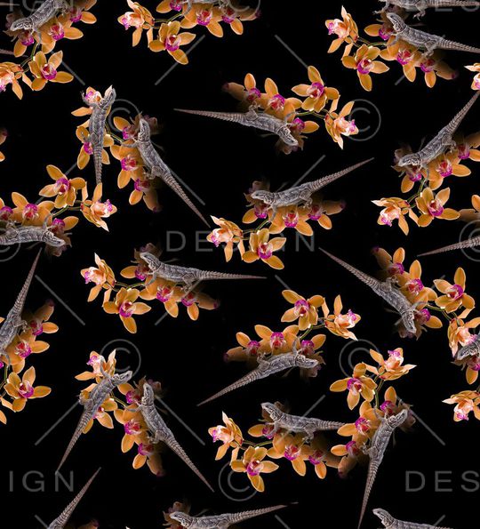 创意复古黑底变色龙爬行动物花卉印花华亿平台图片