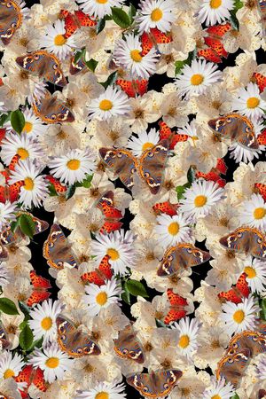 复古黑底蝴蝶花卉印花华亿平台图片