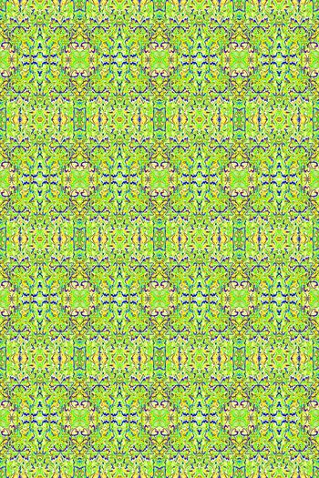 396474-多彩艺术蝴蝶