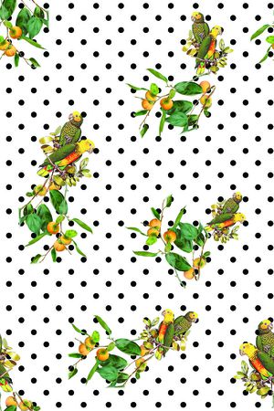 圆点印花华亿平台图片