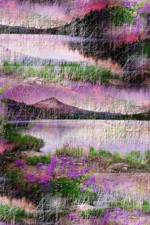 复古印花华亿平台图片