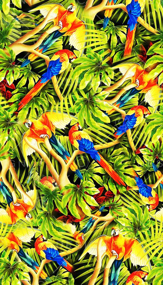 热带印花华亿平台图片