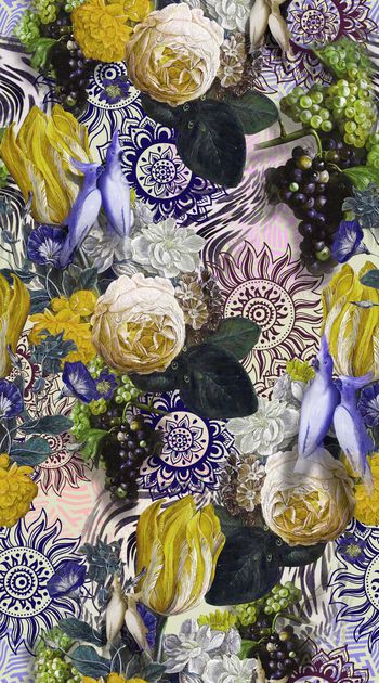 396815-花卉水果 机理 服装 