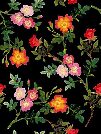 396987-满版刺绣花卉设计