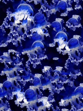 397000-深海水母海洋主题浮游女装家纺壁纸