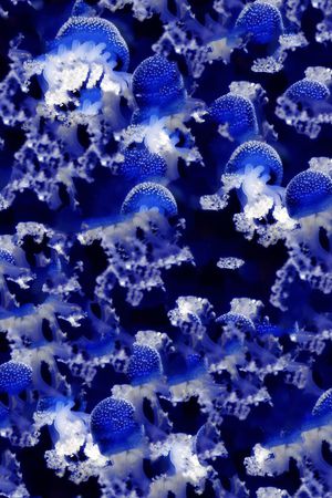 深海印花华亿平台图片