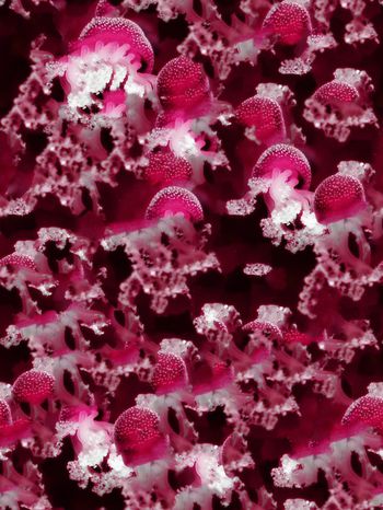 397001-深海水母海洋主题浮游女装家纺壁纸