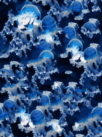 397002-深海水母海洋主题浮游女装家纺壁纸