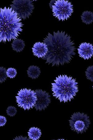 衬衫华亿平台印花华亿平台图片