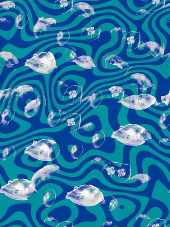 397080-透明水母海洋浮游几何波纹组合女装男