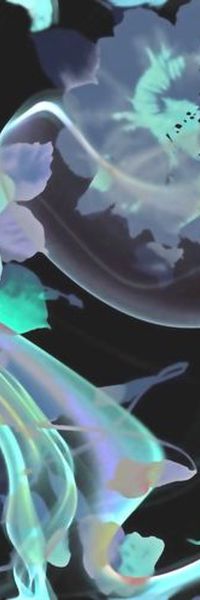 大花 流水 笔触印花华亿平台图片