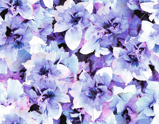 炫彩印花华亿平台图片